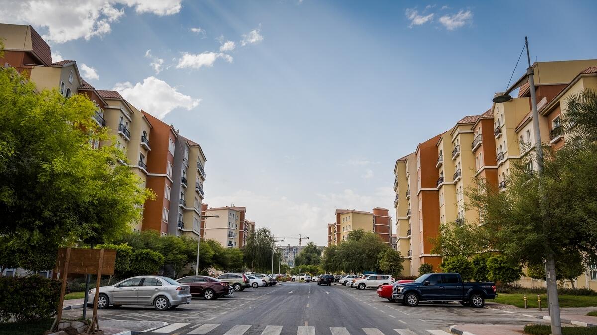 Dubai\'s best pest control company, Al Rasa, has now started in Discovery Gardens too